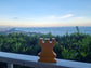Chess magnets & hanging Rook on the Singapore Trip